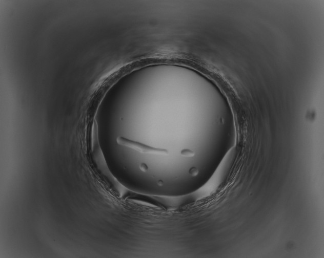 X0000097951304200804011625