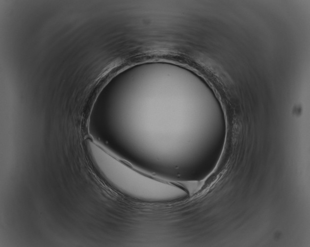 X0000097951305200804011625