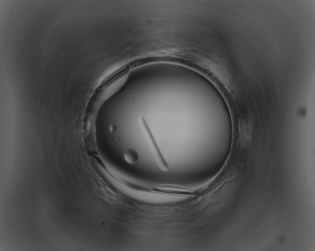 X0000097951308200804011625