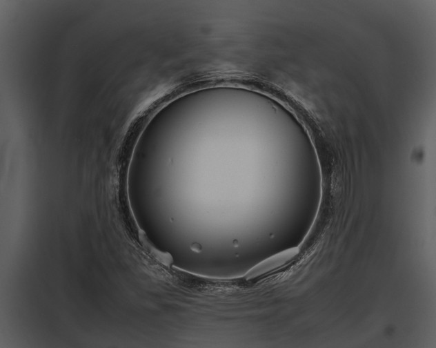 X0000097951309200804011625