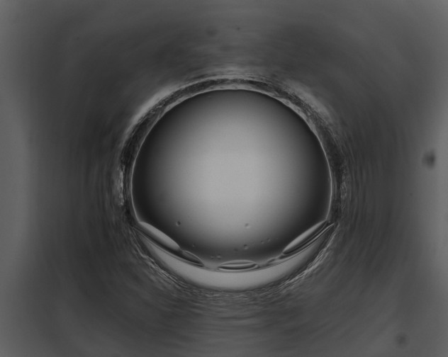 X0000097951310200804011625