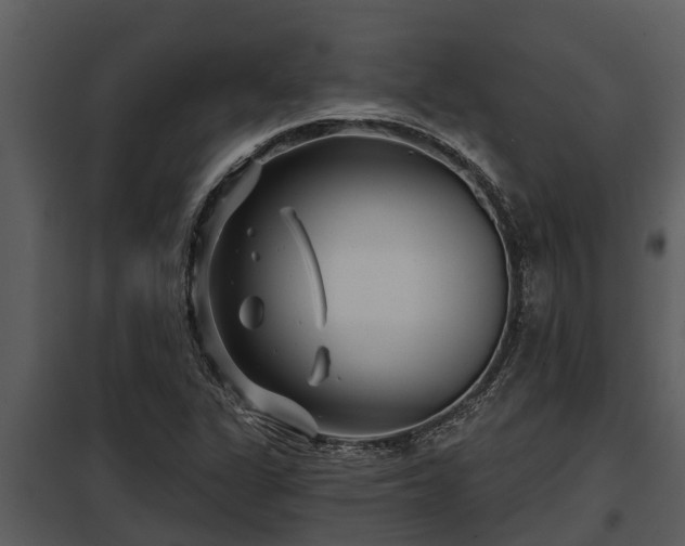 X0000097951311200804011625