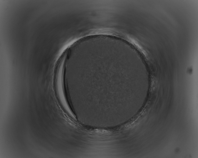 X0000097951312200804011625
