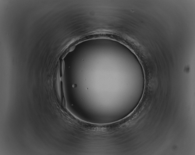 X0000097951313200804011625
