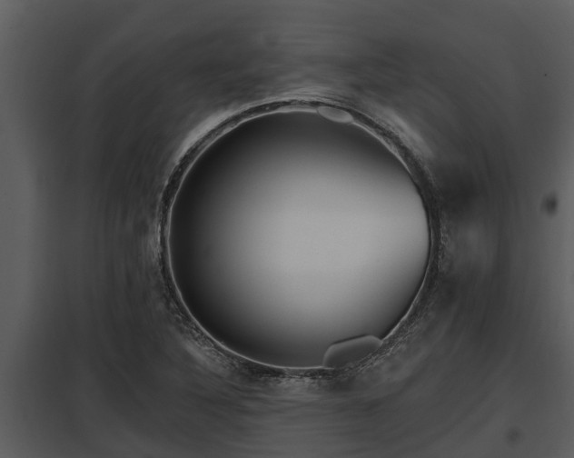 X0000097951316200804011625