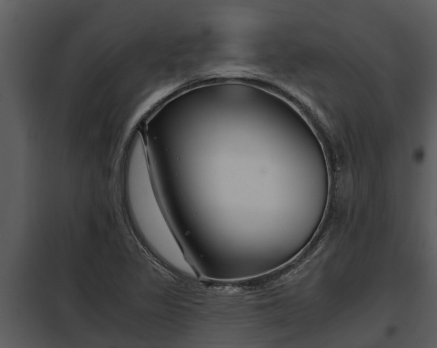 X0000097951317200804011625