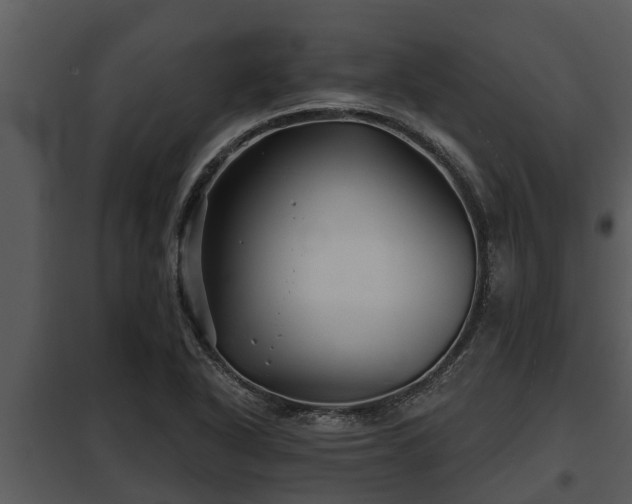 X0000097951318200804011625