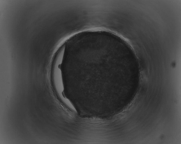 X0000097951319200804011625