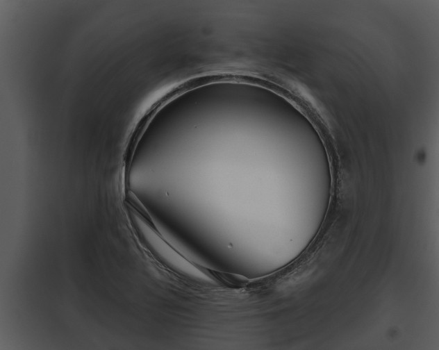 X0000097951320200804011625