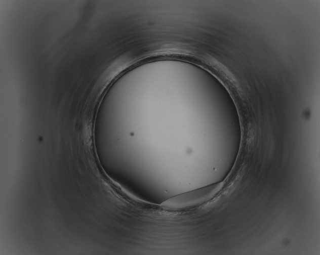X0000097951321200804011625
