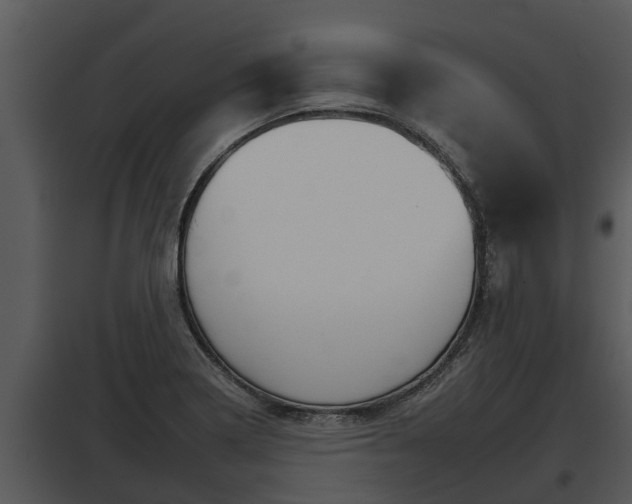 X0000097951322200804011625