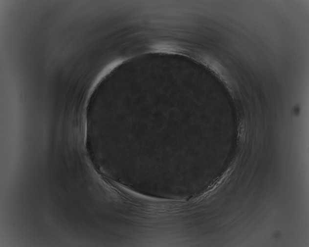 X0000097951323200804011625