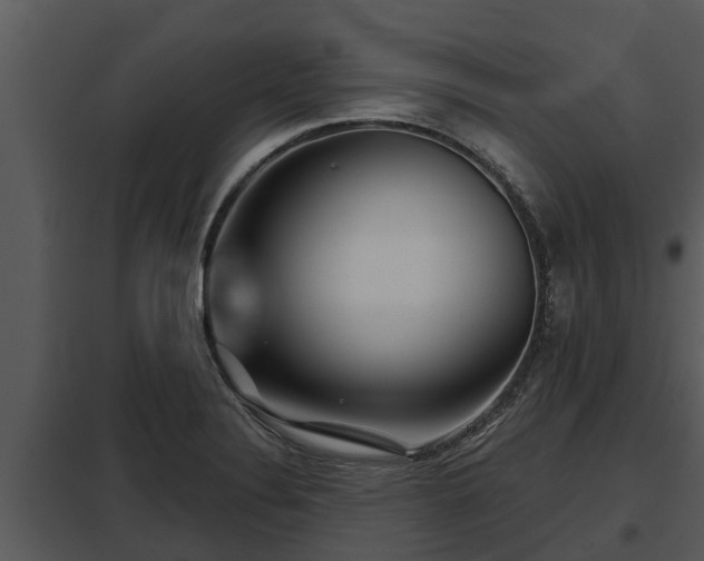 X0000097951324200804011625