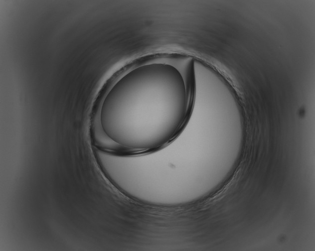 X0000097951326200804011625