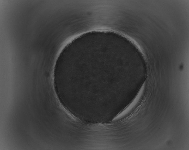 X0000097951327200804011625