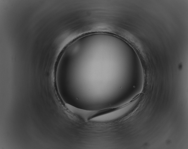 X0000097951328200804011625