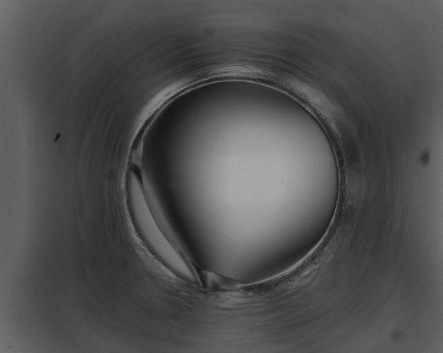 X0000097951330200804011625
