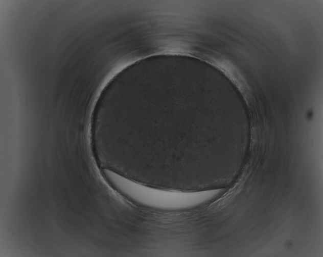 X0000097951331200804011625
