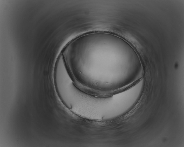 X0000097951334200804011625