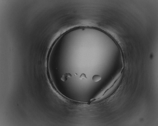 X0000097951335200804011625