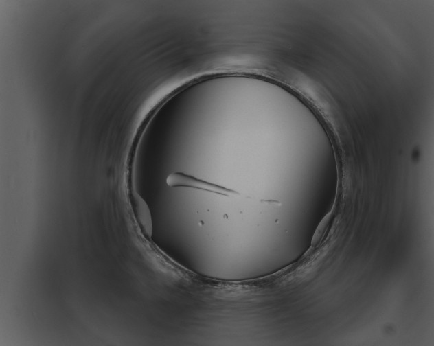 X0000097951336200804011625