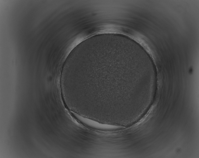 X0000097951337200804011625