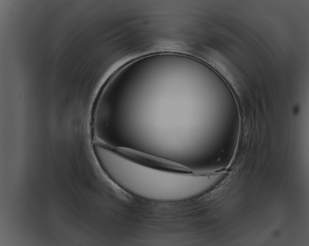 X0000097951339200804011625