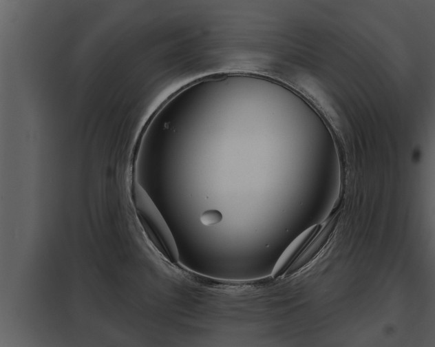 X0000097951340200804011625