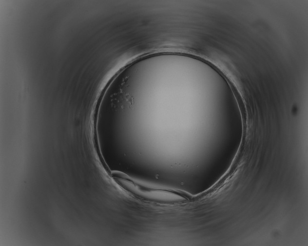 X0000097951341200804011625