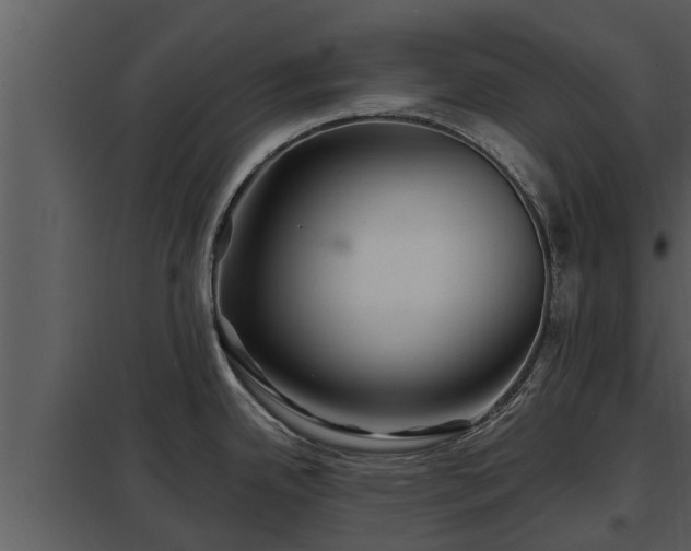 X0000097951342200804011625