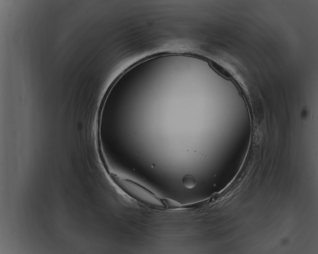 X0000097951343200804011625