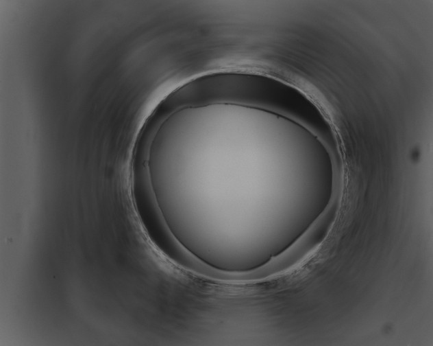 X0000097951344200804011625