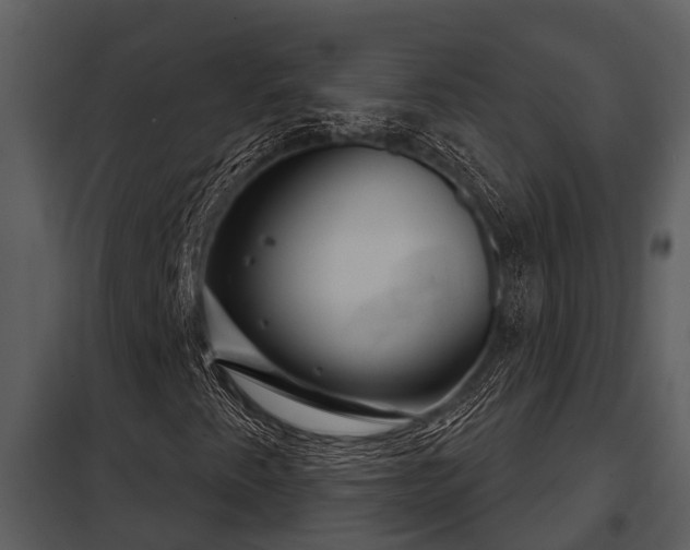 X0000097951345200804011625