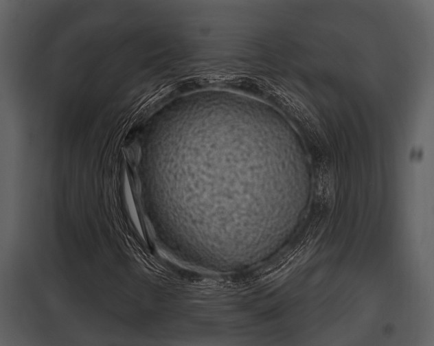 X0000097951346200804011625