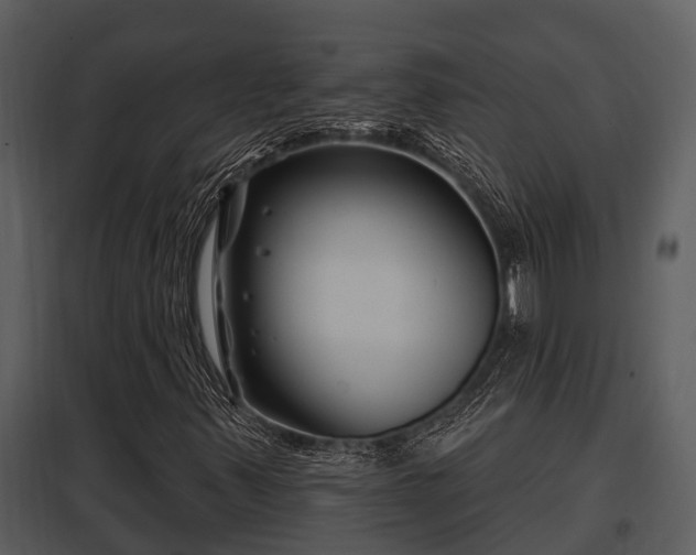 X0000097951347200804011625