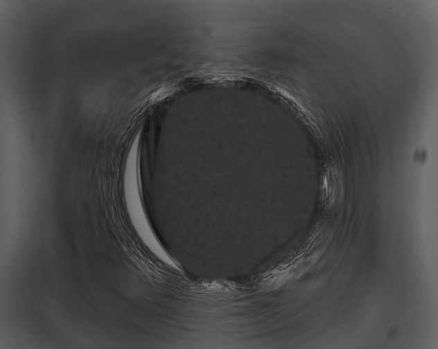 X0000097951348200804011625