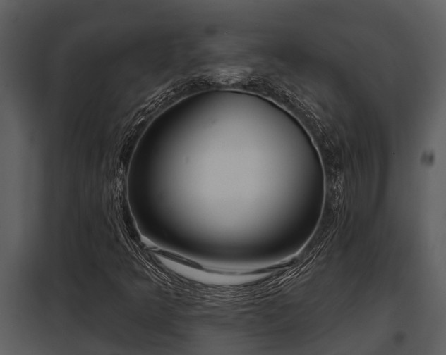 X0000097951349200804011625