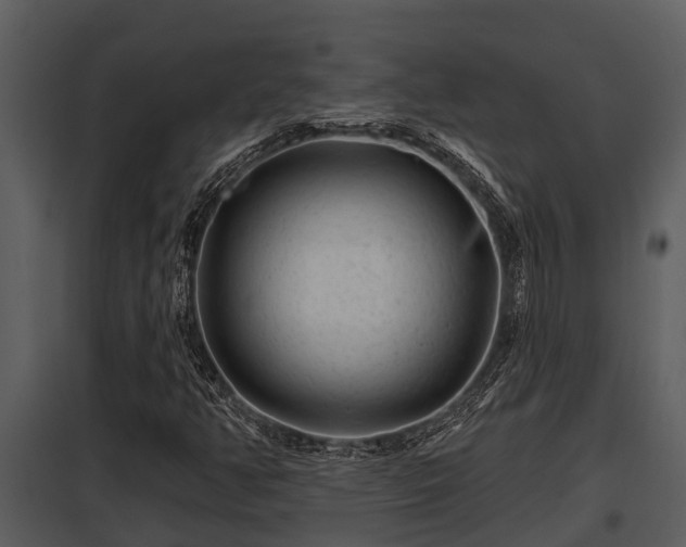 X0000097951350200804011625