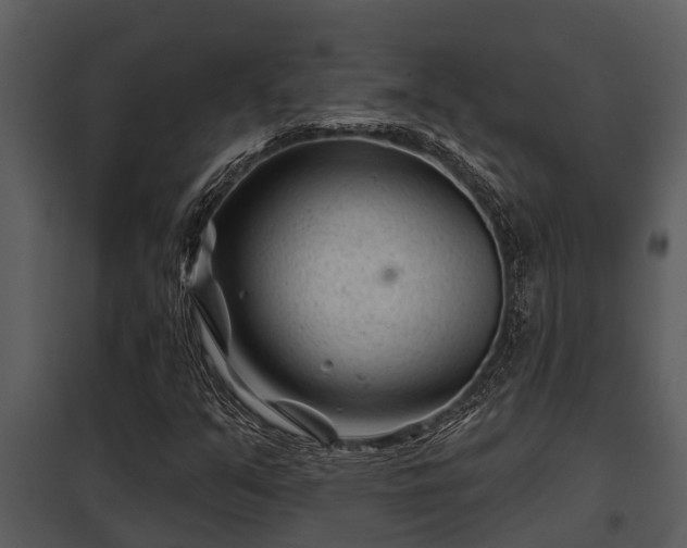 X0000097951351200804011625