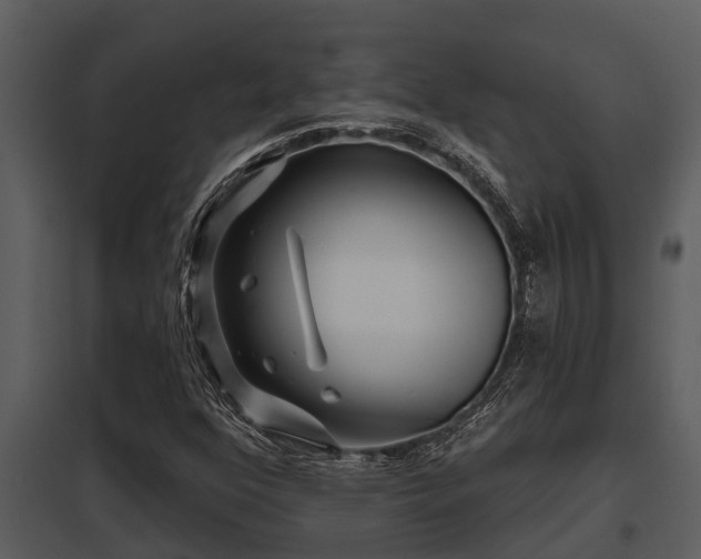X0000097951352200804011625