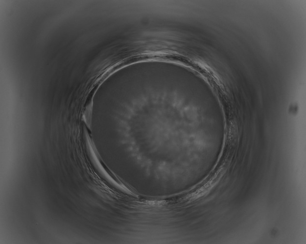 X0000097951353200804011625