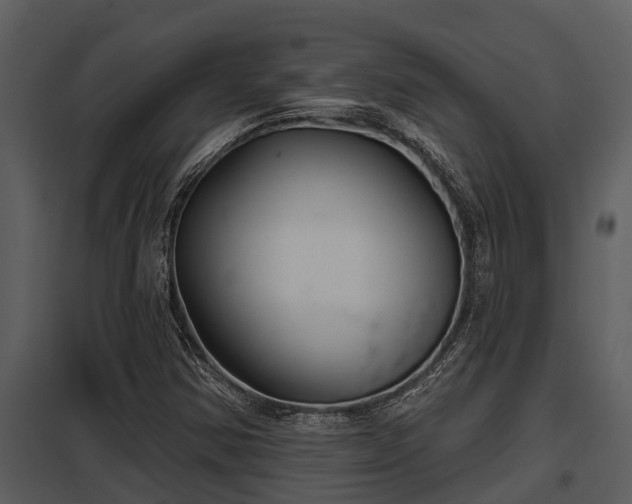 X0000097951354200804011625