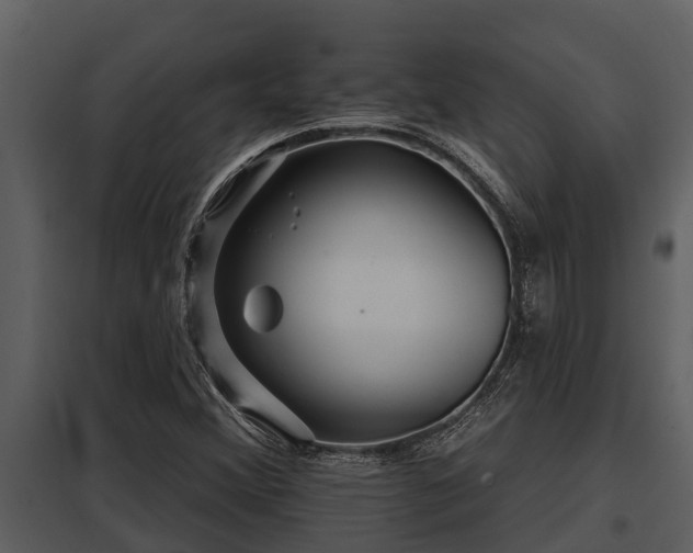 X0000097951356200804011625