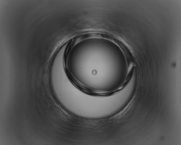 X0000097951357200804011625