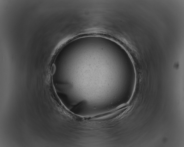 X0000097951358200804011625