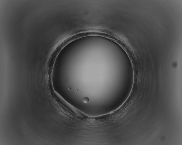 X0000097951360200804011625