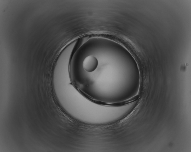 X0000097951361200804011625