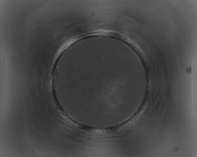 X0000097951362200804011625
