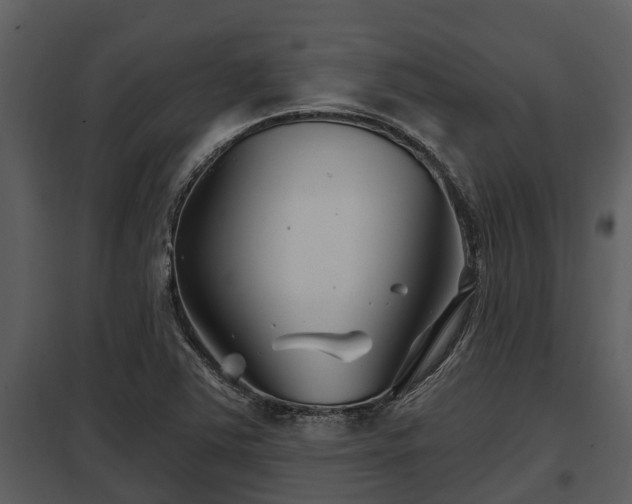 X0000097951363200804011625