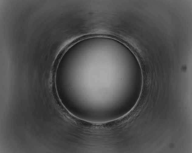 X0000097951364200804011625